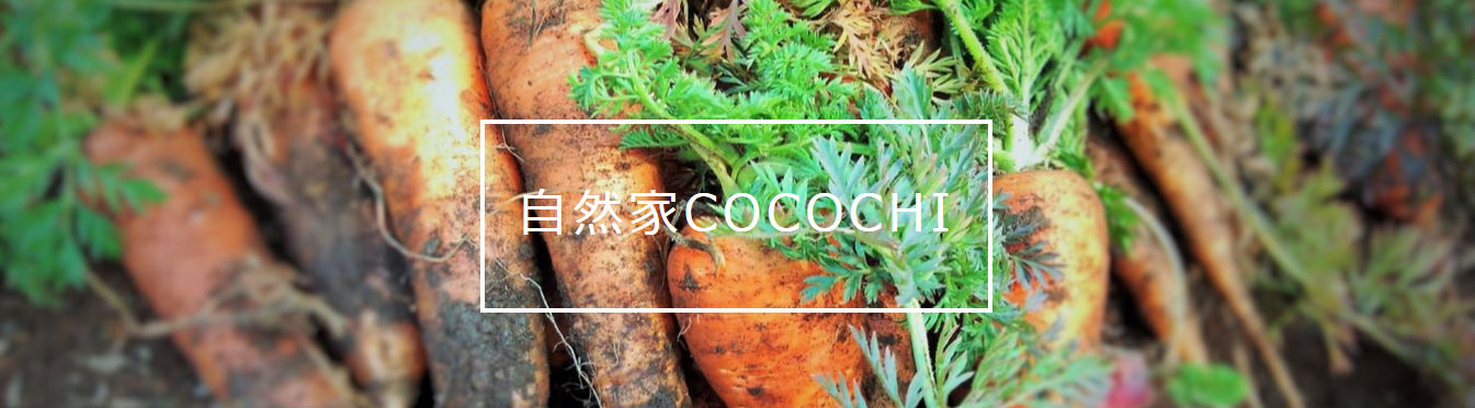 アイシアの農産物ブランド・自然家COCOCHI
